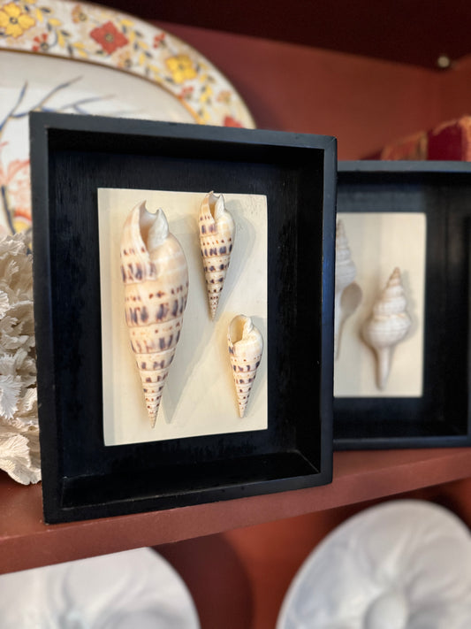 Set of 3 Shell Art in Shadow Boxes