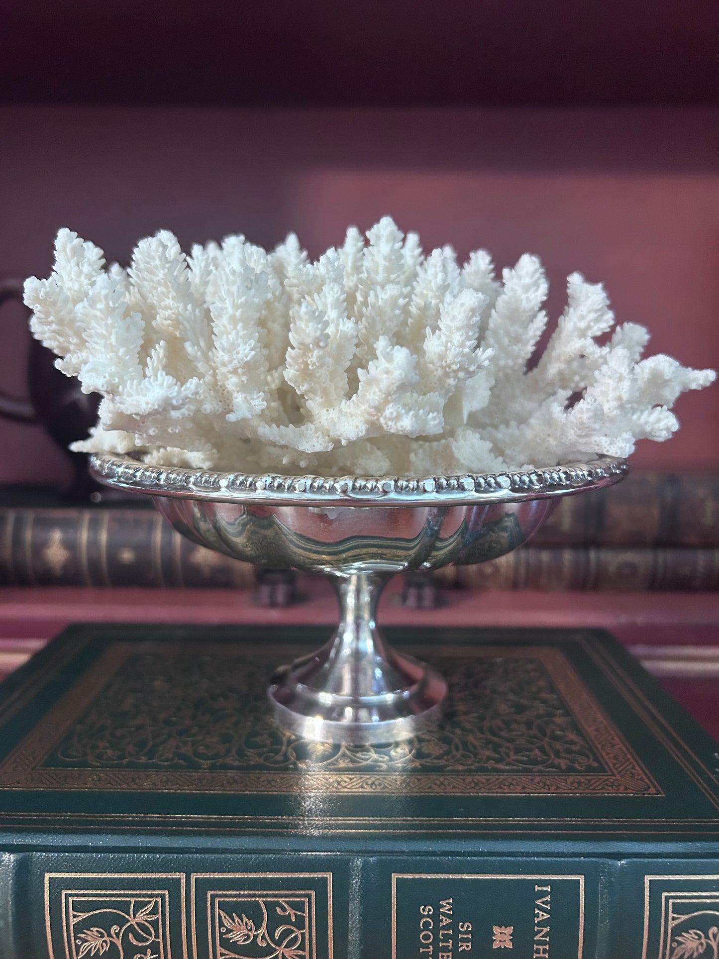 Reserved Mary Katherine Coral in silver pedestal