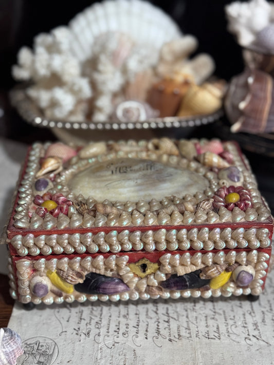 19th Century French Shellwork Souvenir Box from Marseilles