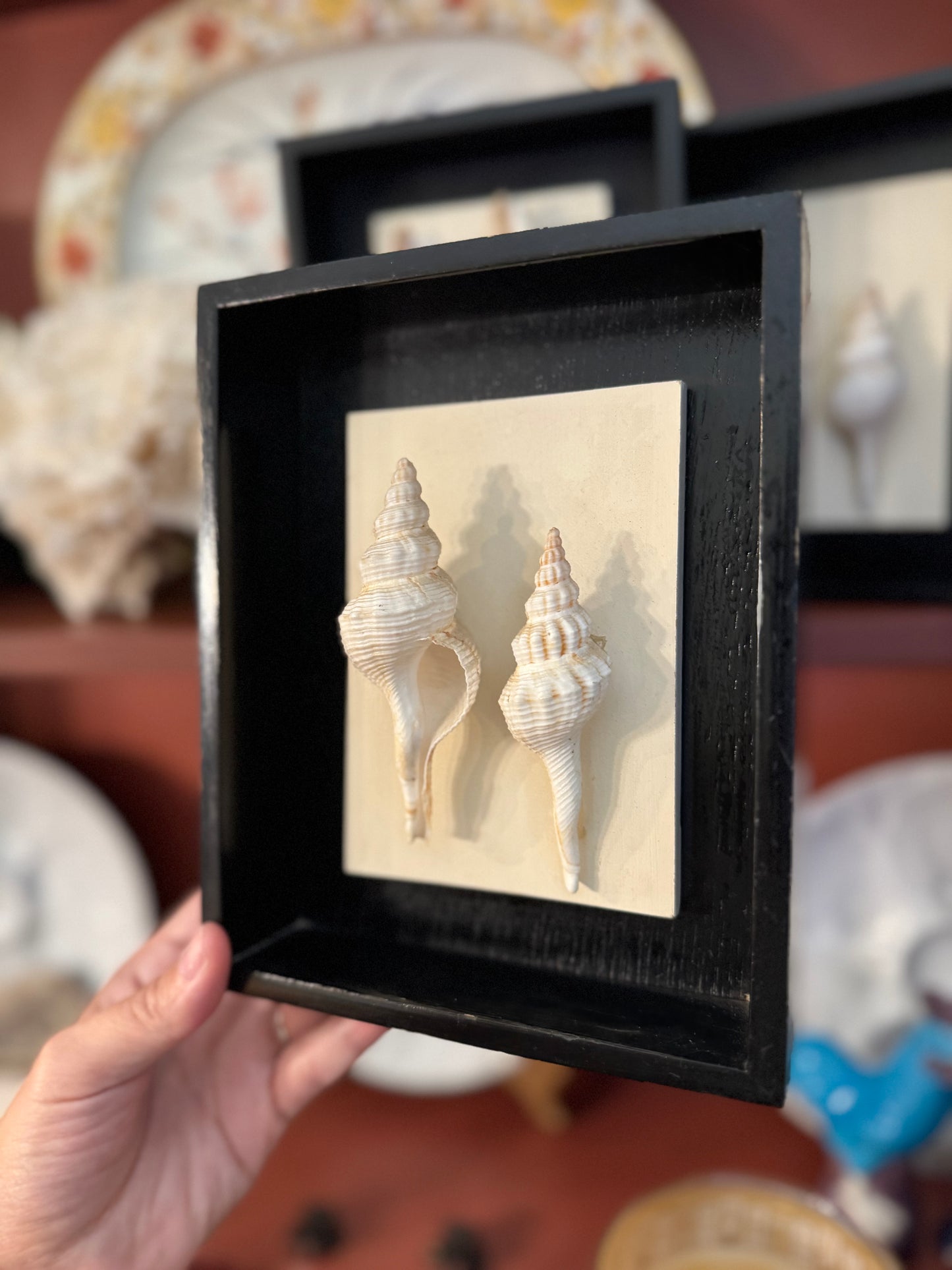 Reserved Set of 3 Shell Art in Shadow Boxes