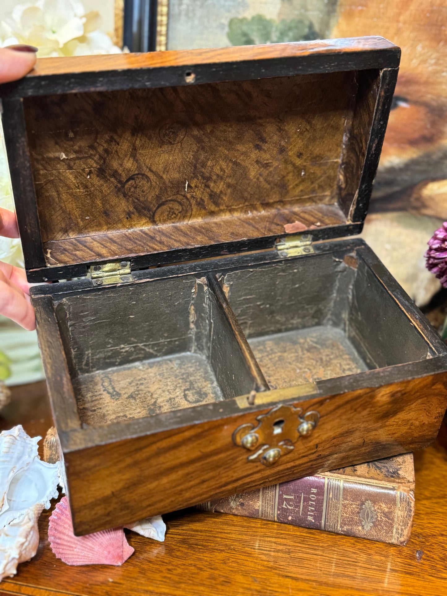 Antique 19th Century Dome-Top Box with Bone & Brass Fixtures