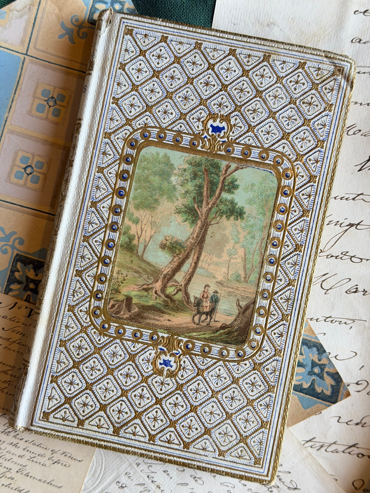 Reserved Cartonnage Book, Blue and White Intaglio