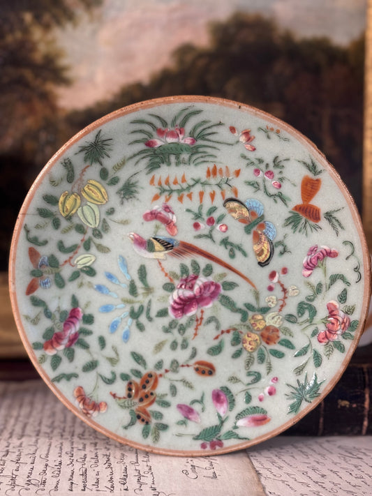Mid 19th Century Chinese Celadon Plate 7”