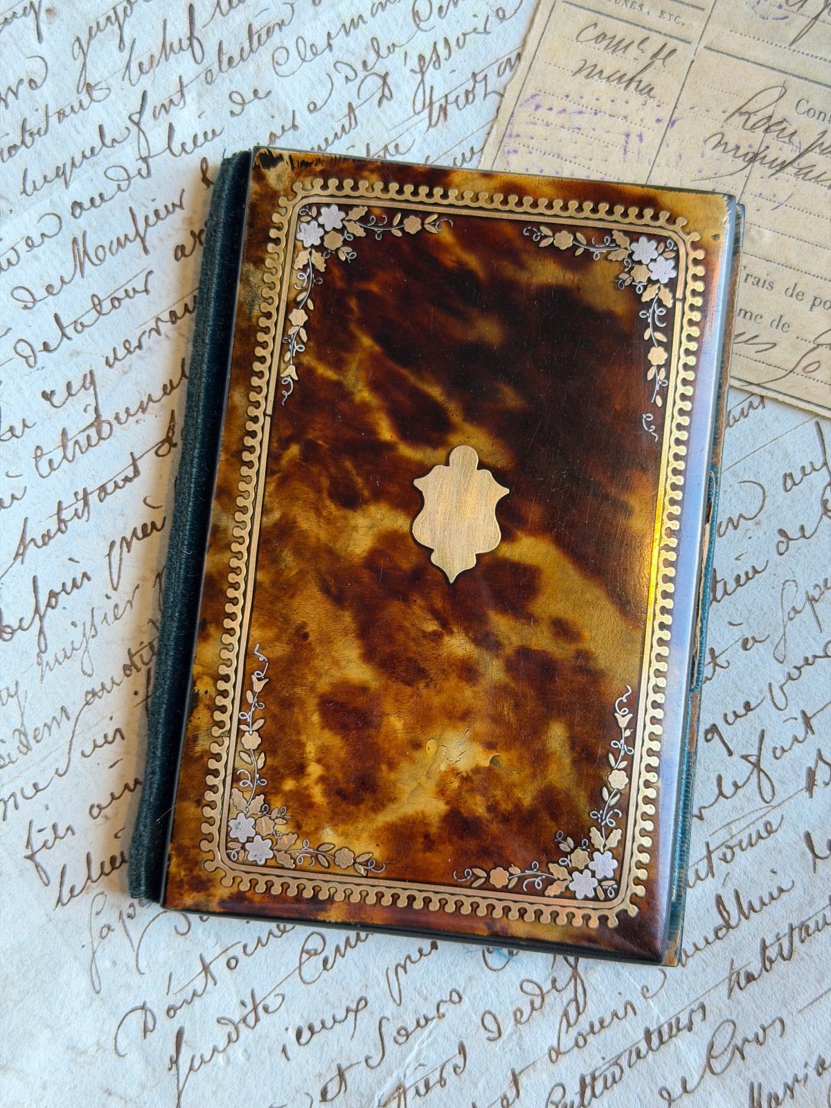 Reserved Tortoise Notebook