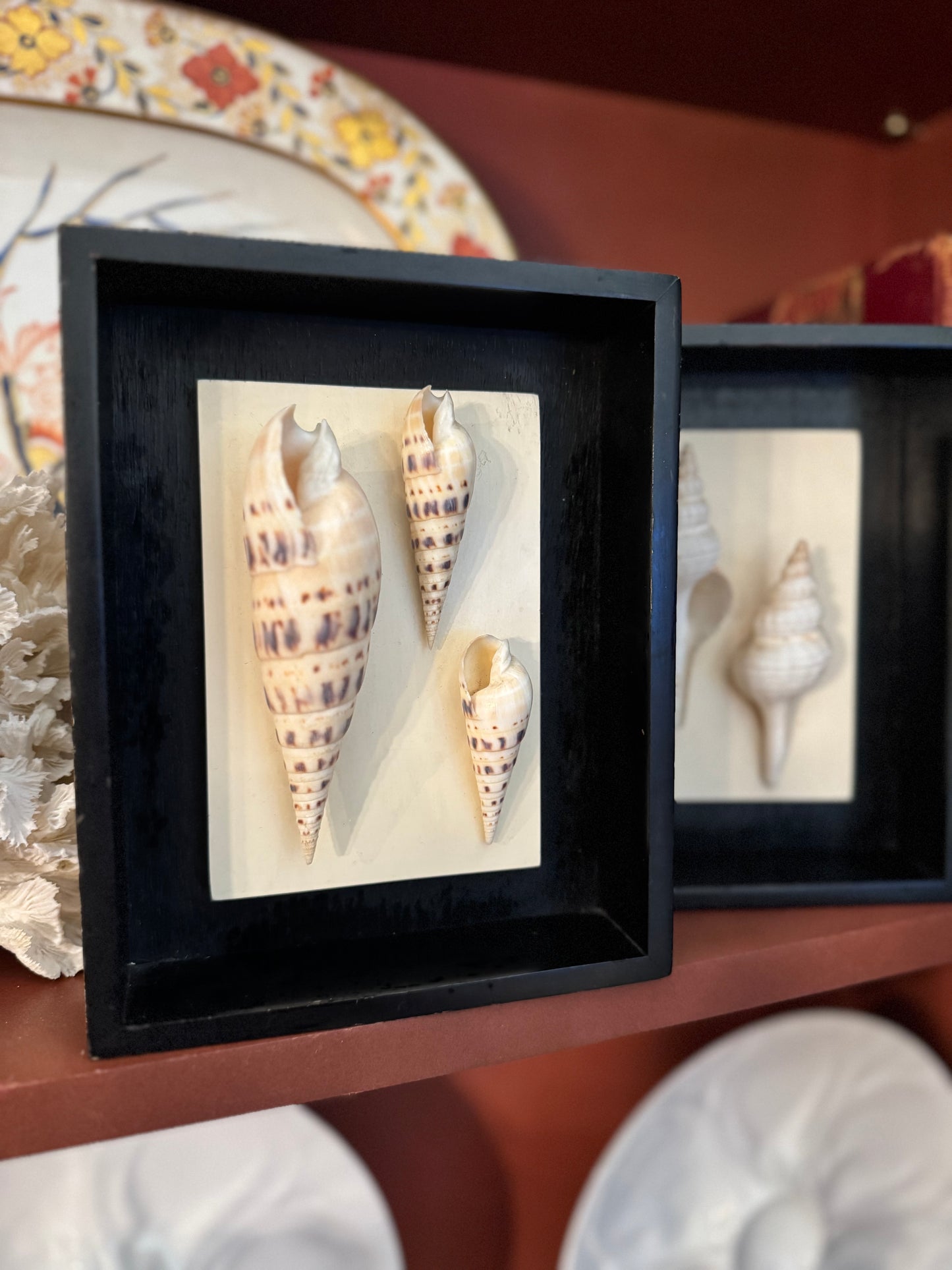 Reserved Set of 3 Shell Art in Shadow Boxes