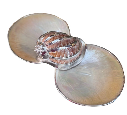 RESERVED Thistle & Bee Sterling Silver and Natural Shell Double Dish