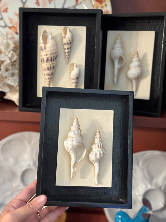 Reserved Set of 3 Shell Art in Shadow Boxes