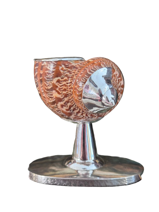 Sterling Silver and Natural Shell Salt Cellar – Warm Caramel Veining