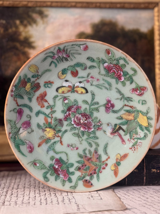 Mid 19th Century Chinese Celadon Plate 7”