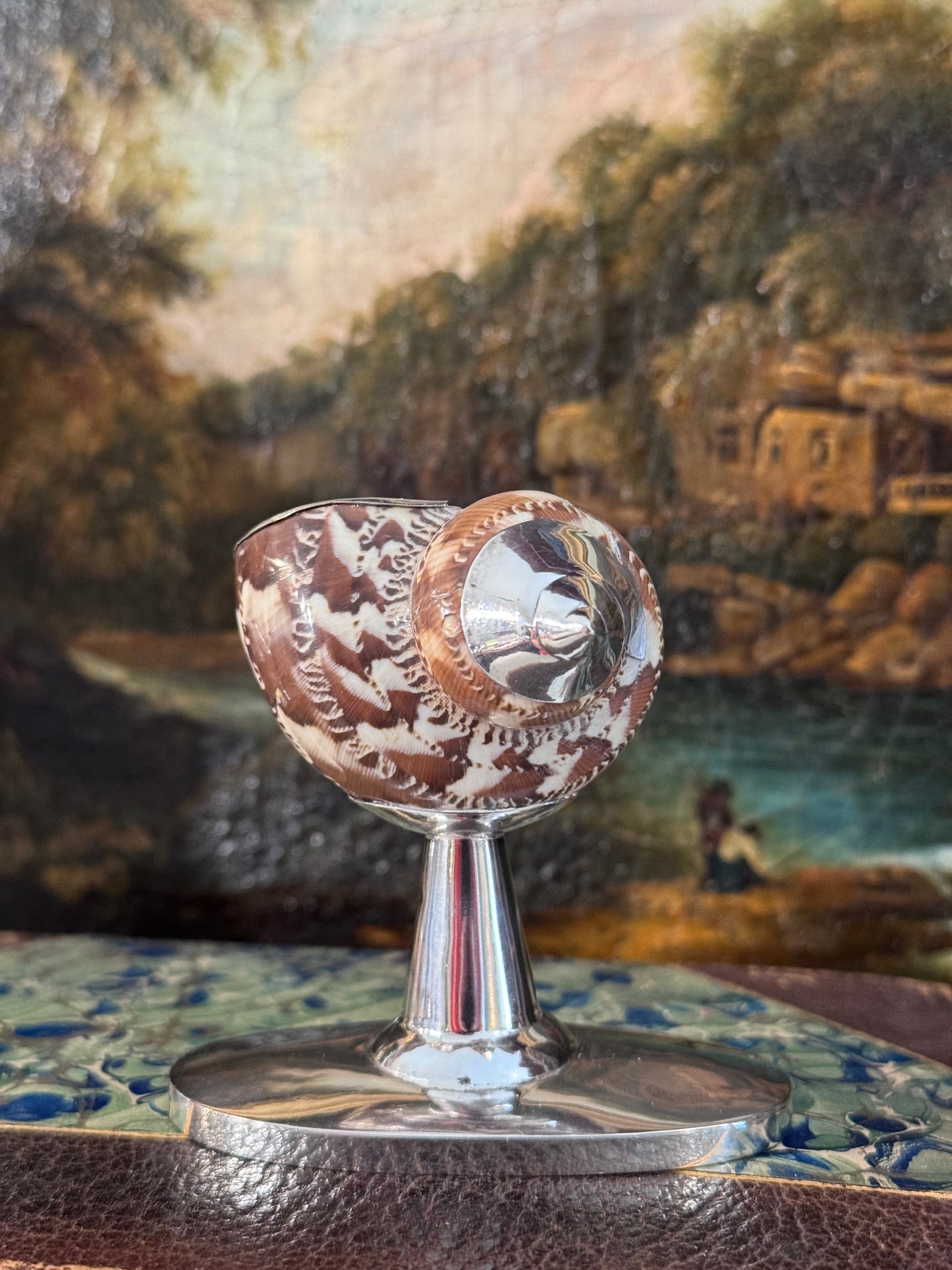 Sterling Silver and Natural Shell Salt Cellar – Soft Ivory and Cocoa Tones