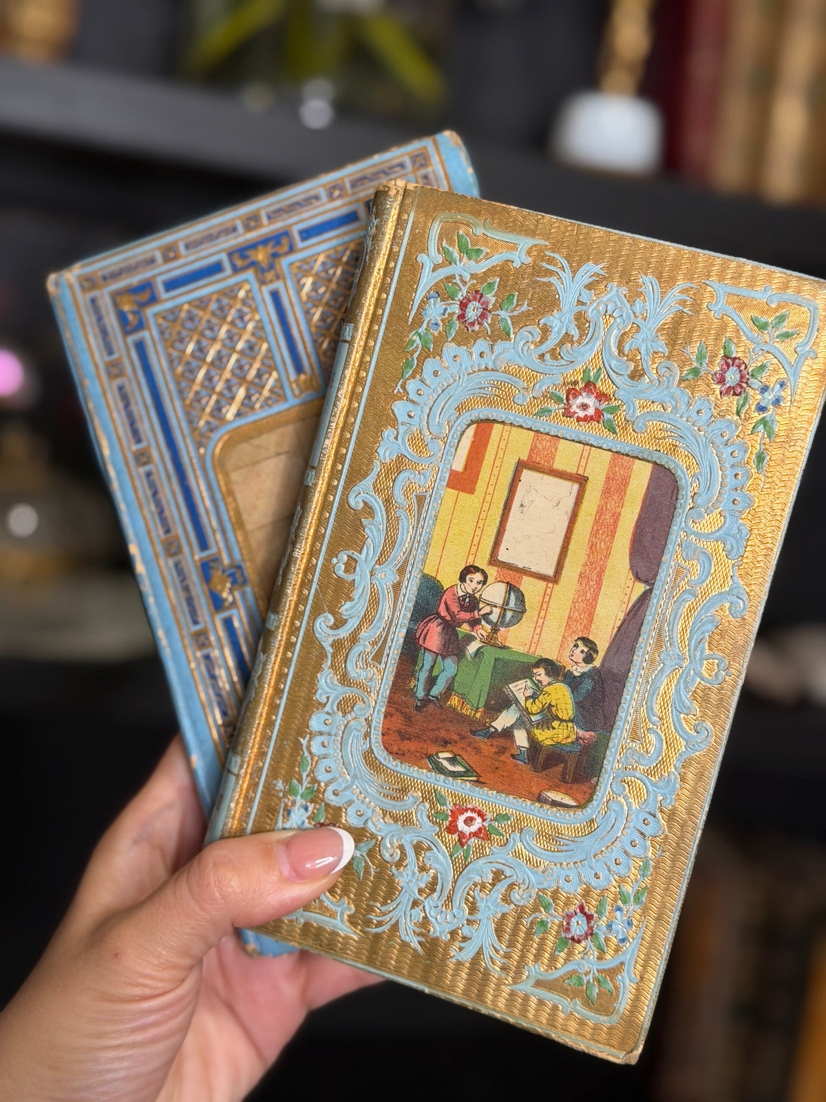 Reserved 2 Cartonnage Books #4 & #15, Giant Turbo Shell, Smaller Shell, White and Pink Opaline