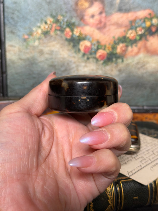Reserved Tortoise Pill Box, Tortoise Coin Purse