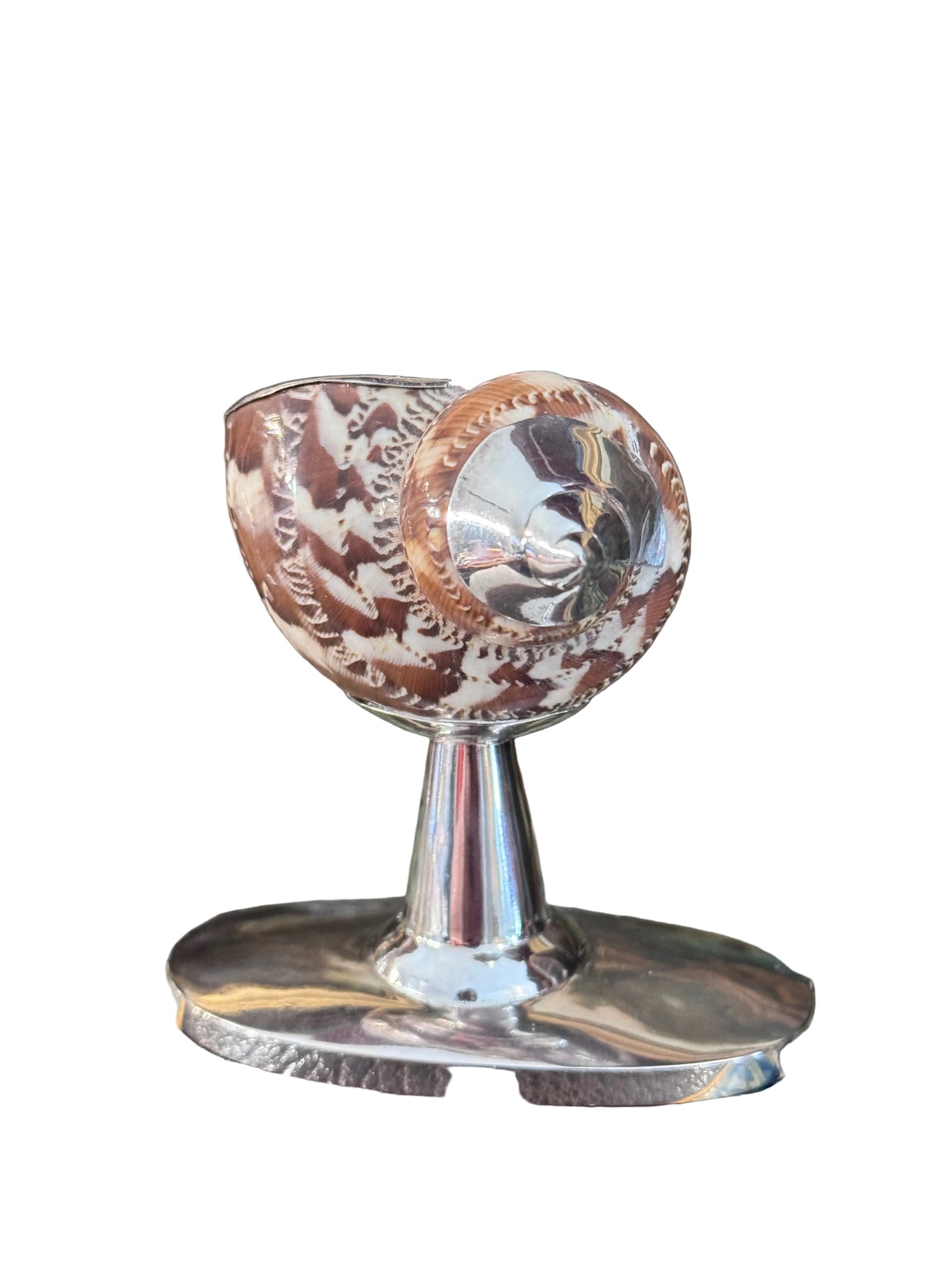 Sterling Silver and Natural Shell Salt Cellar – Soft Ivory and Cocoa Tones