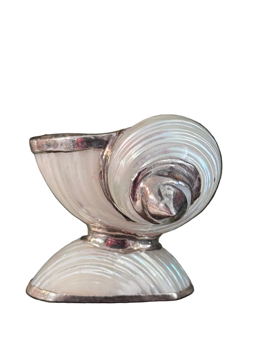 White Spiral Shell and Silver Salt Cellar