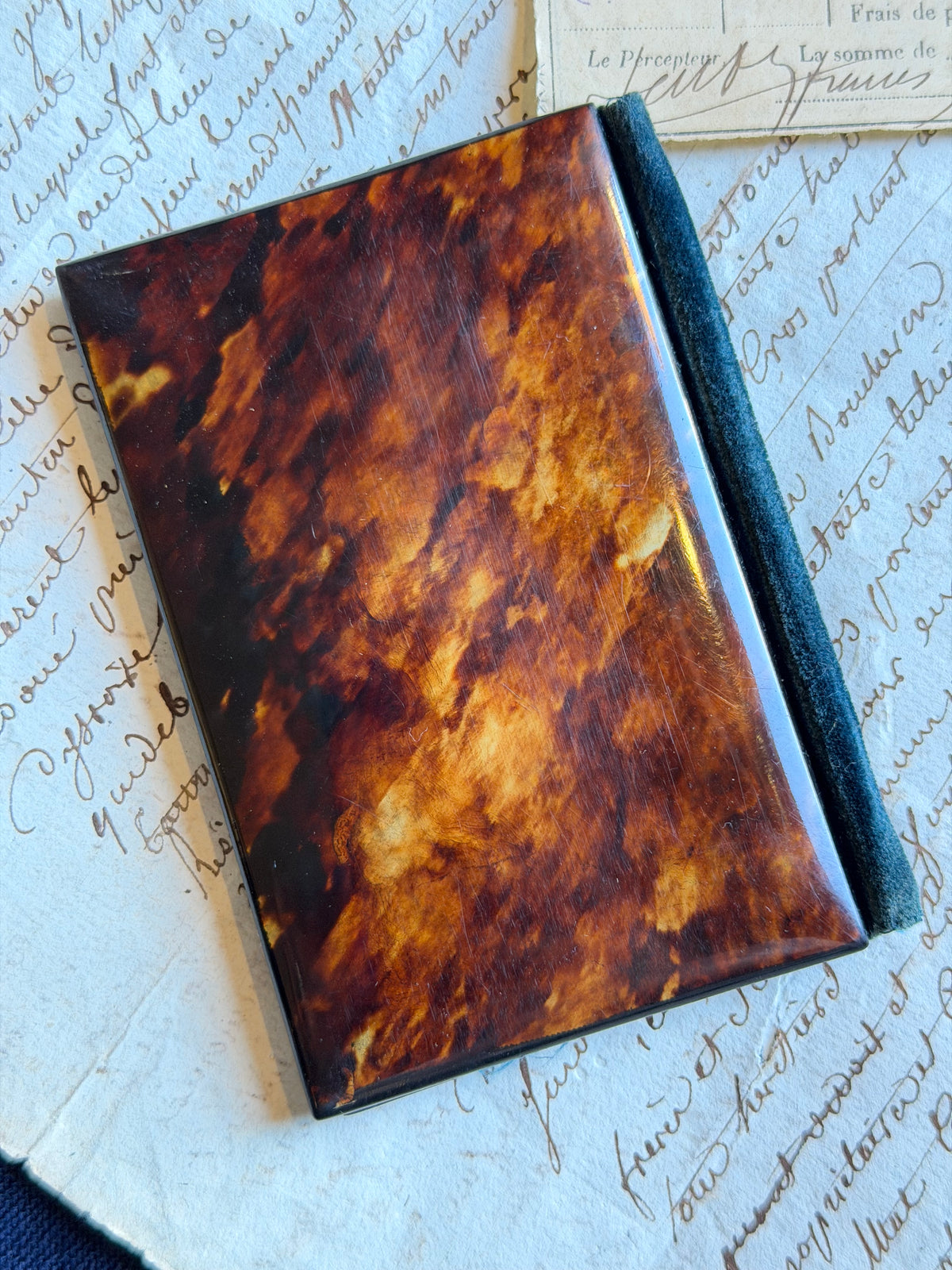 Reserved Tortoise Notebook